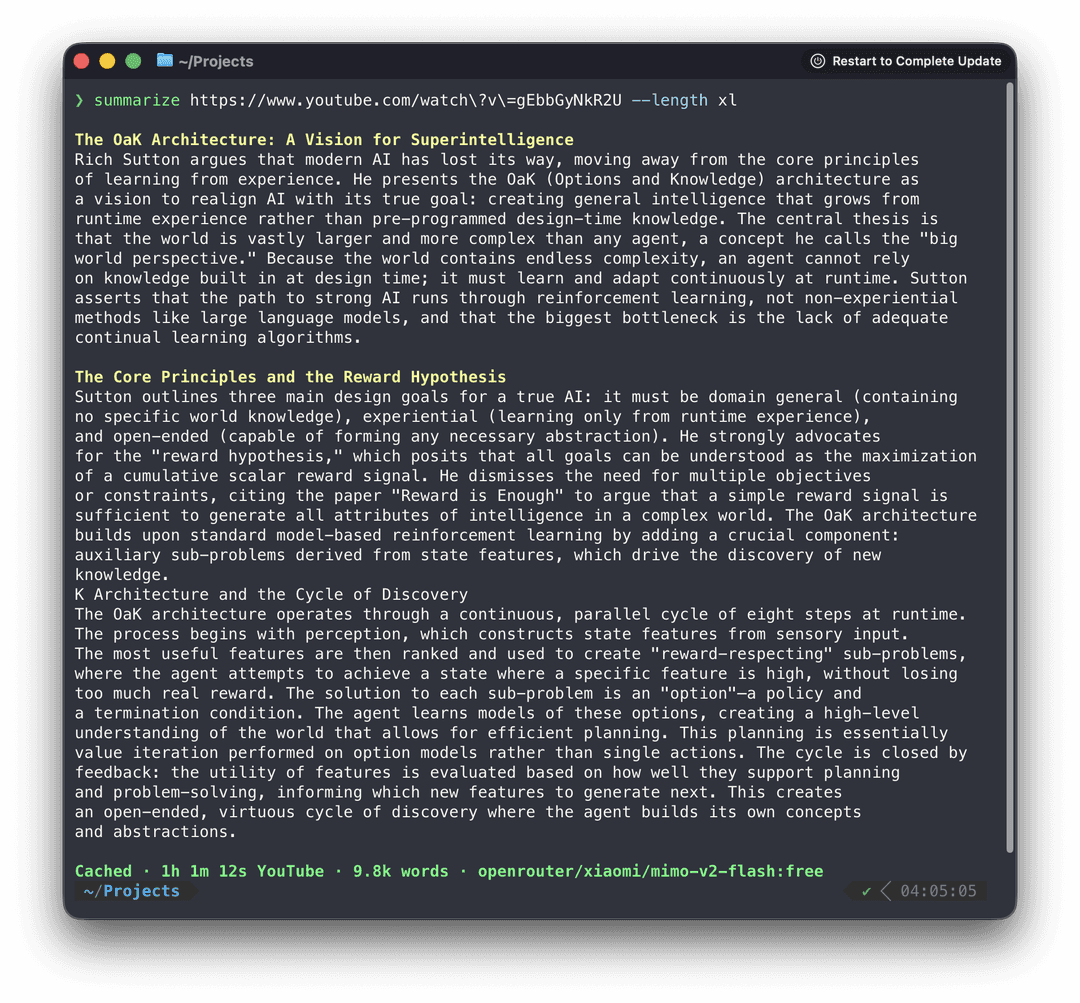 Summarize CLI screenshot