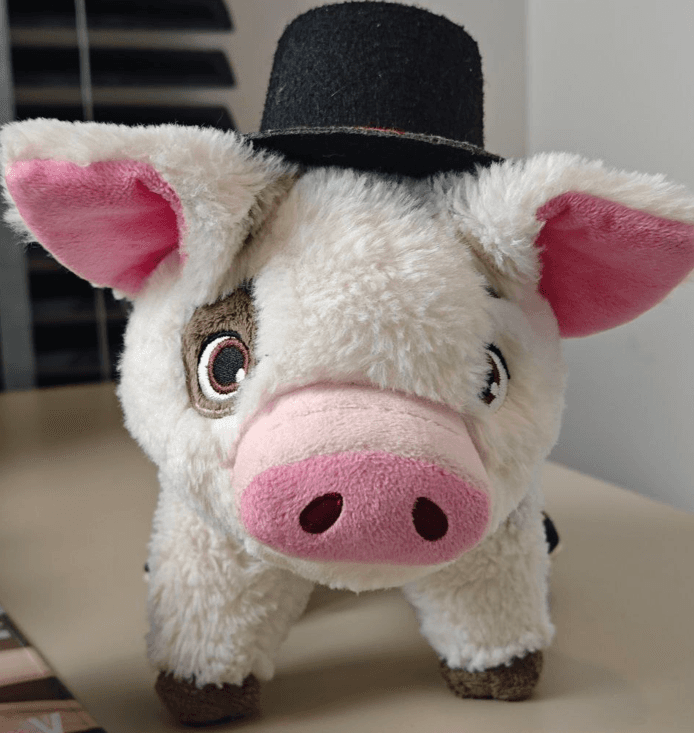 Mr. Mak, a small plush pig wearing a black hat