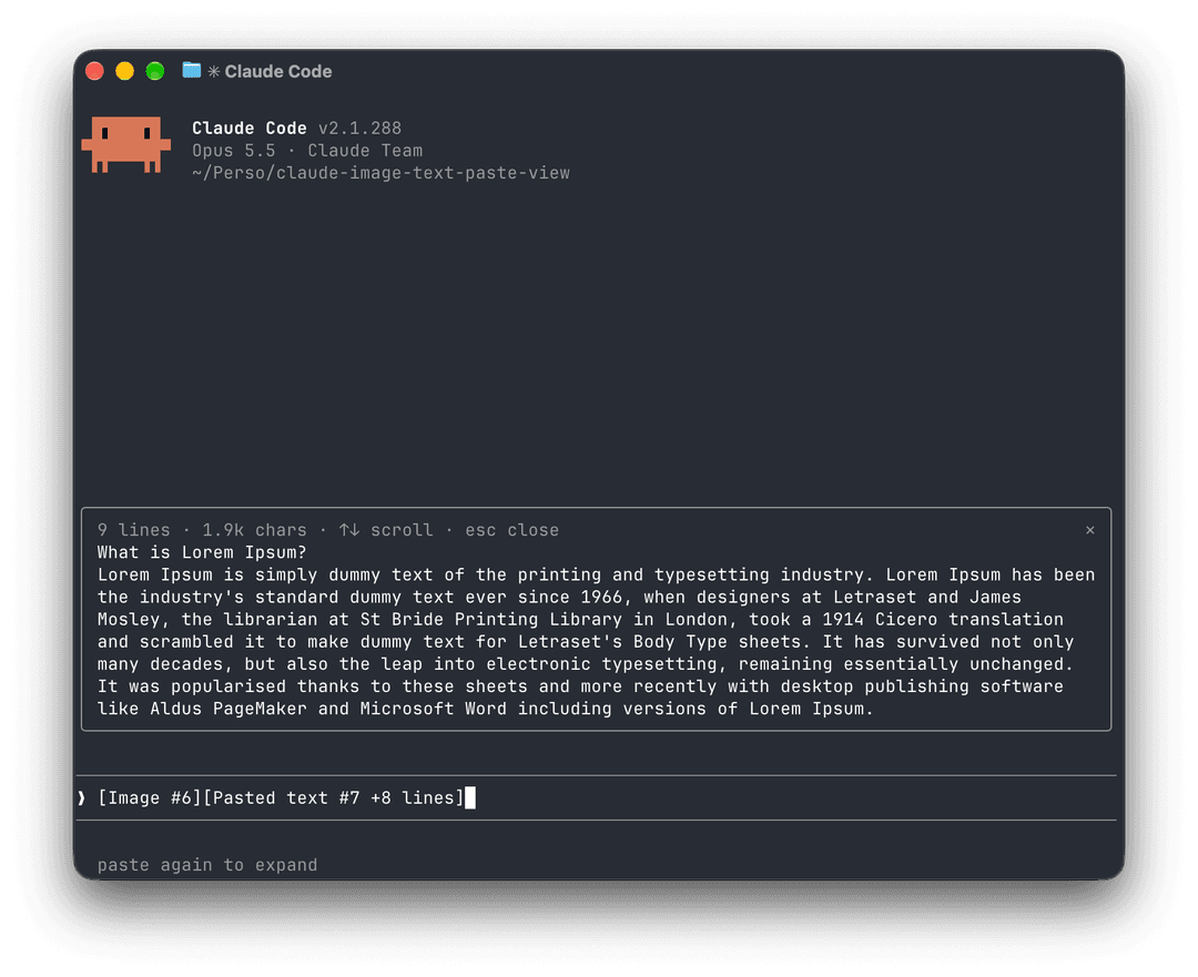 A pasted text opened whole in a pane, with its line and character counts