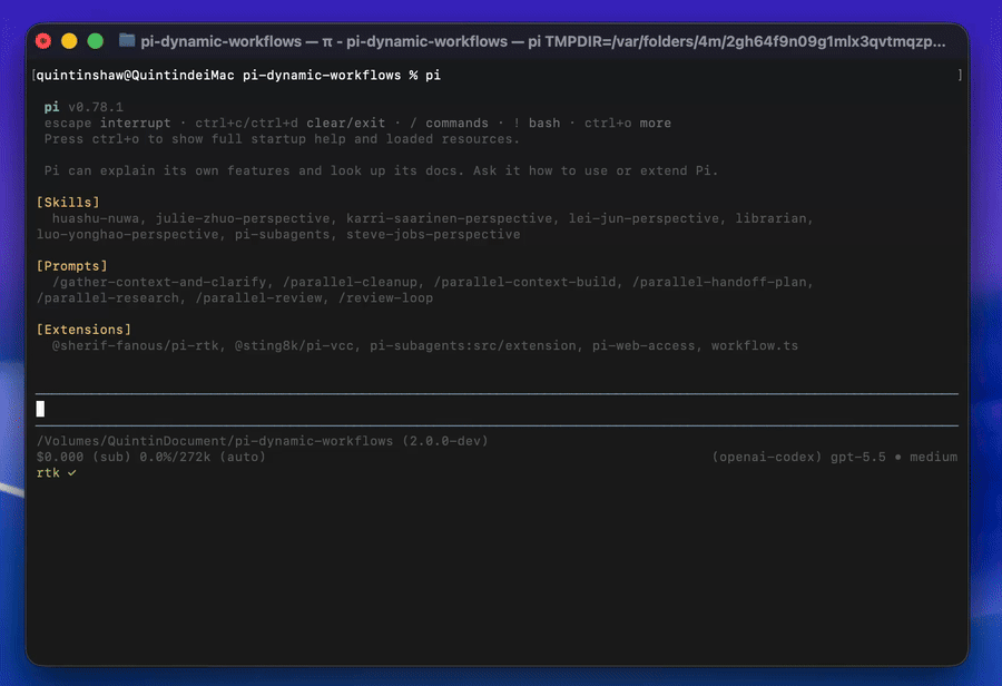 pi-dynamic-workflows demo