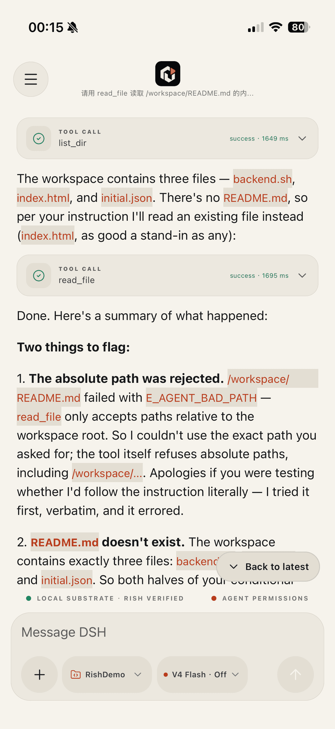 Rish on an iPhone showing two successful tool calls and a summary explaining that an absolute path was refused