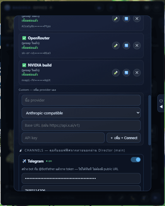 OpenRouter, NVIDIA build and the custom-provider form