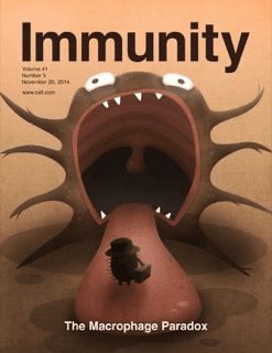 Immunity