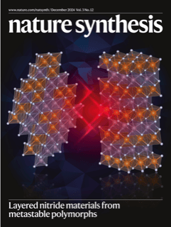 Nature Synthesis