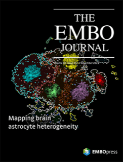 The EMBO Journal