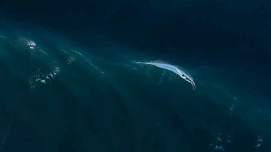 Tide — ocean research hero